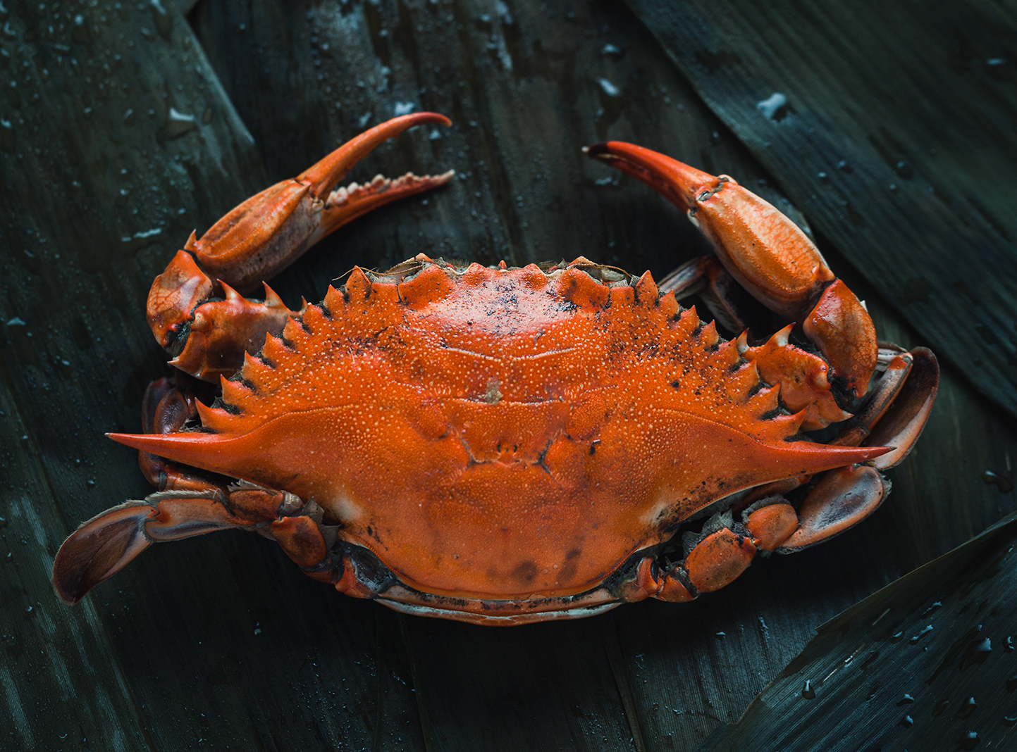 Todo lo que debes saber si sufres de alergia a los mariscos | Mujer