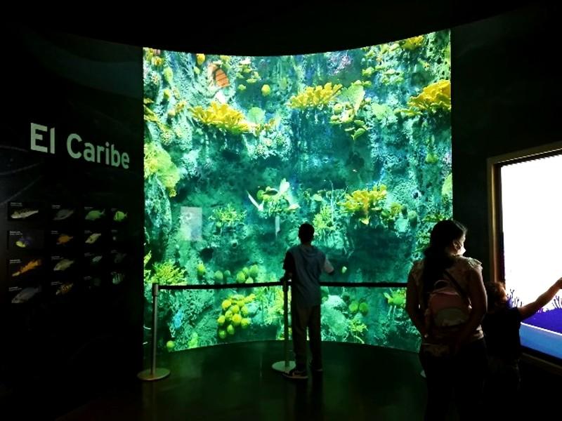 Acuario del Caribe en la exhibición Acuario del Caribe en la exhibición