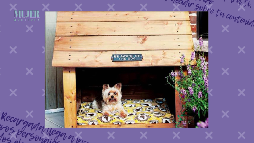 Paso a paso para hacer una casa de perro estilo Pinterest | Mujer