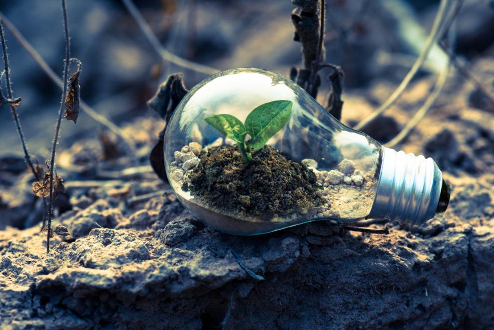 soluciones para el futuro 2021 Foto de Singkham en Pexels