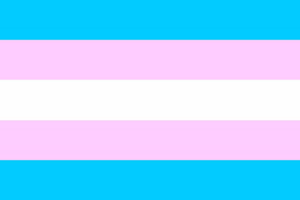 Bandera oficial del orgullo transexual