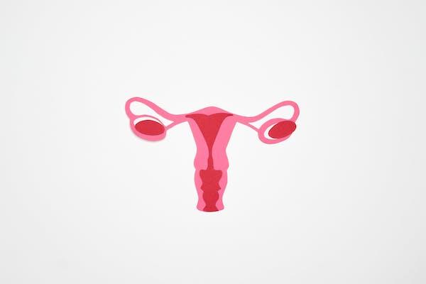 Ooforectomía (extirpación quirúrgica de los ovarios) - Mayo Clinic