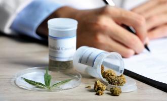 Cannabis Medicinal. Foto: EFE