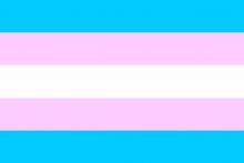 Bandera oficial del orgullo transexual